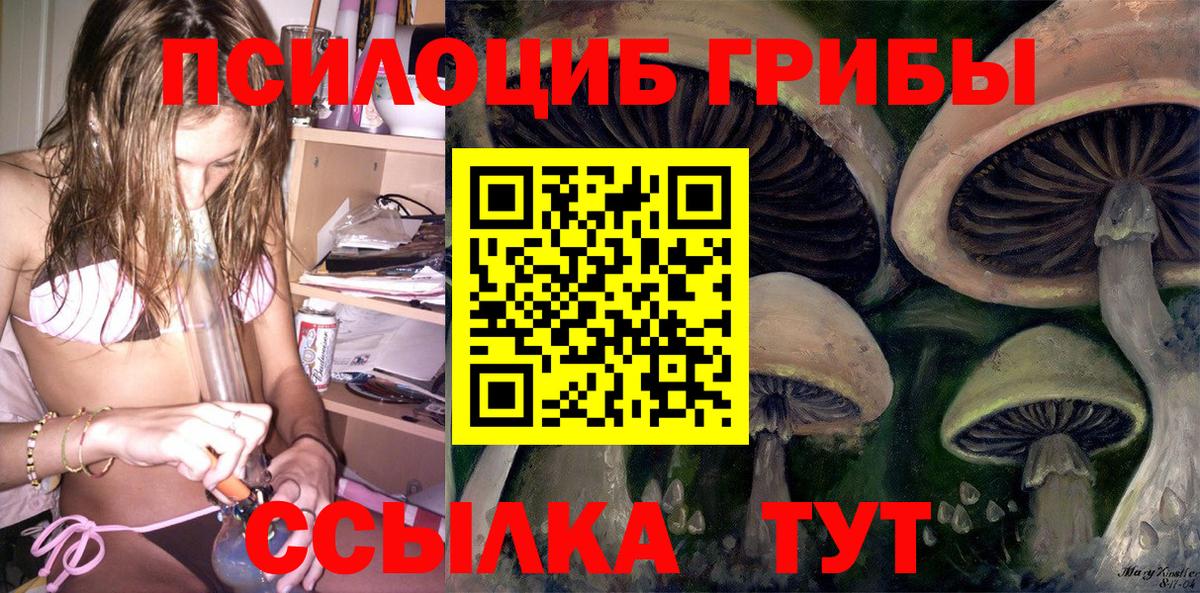 Находка  цена   Вход с VPN  Псилоцибиновые грибы GOLDEN TEACHER 